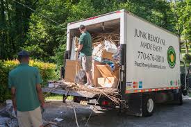 Best Recycling Services for Junk  in Caro, MI